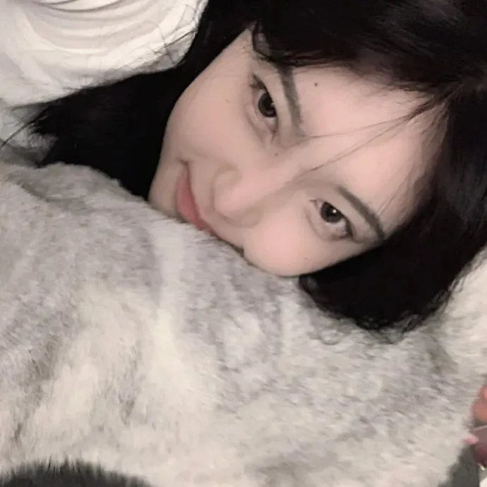 躲在阁楼的安妮·法兰克
