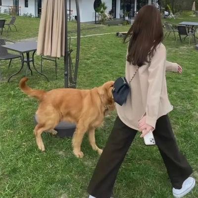 图灵传